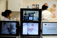 Universidade do Minho vence Prémio Simbiontes